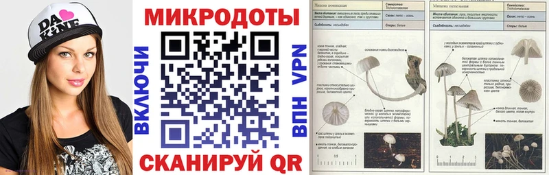 Галлюциногенные грибы мицелий  Купить где  Шагонар 